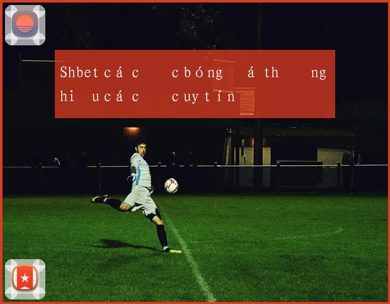 Shbet cá cược bóng đá thương hiệu cá cược uy tín